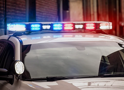 Hot Topics and Trends in Police Liability - Image 20