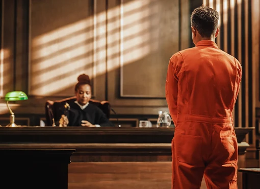 From Scene to Sentencing: Criminal Case Mechanics Revealed Through True Crime Stories - Image 18