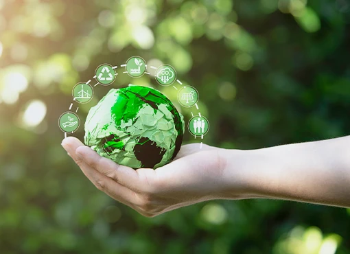 Environmental Law Essentials - Image 2
