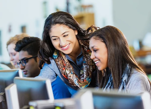 Immigration Issues in Schools: Critical Legal Insights - Image 4
